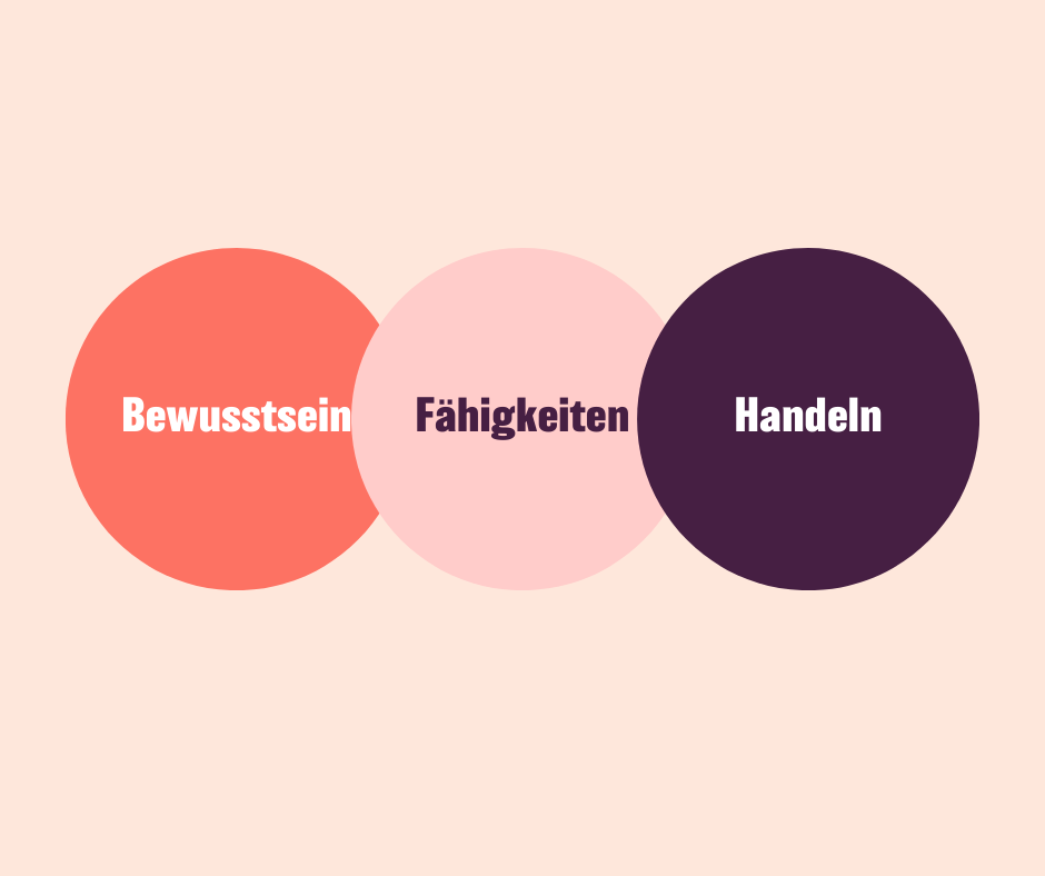 Finanzielle Gesundheit kann über die Achsen Bewusstsein, Fähigkeiten und Handeln beschrieben werden.